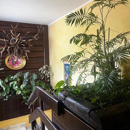 Edelweiss & Отель