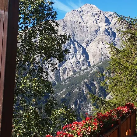 Edelweiss Hotel 4*