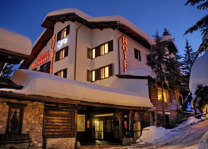 Hotel Edelweiss &
